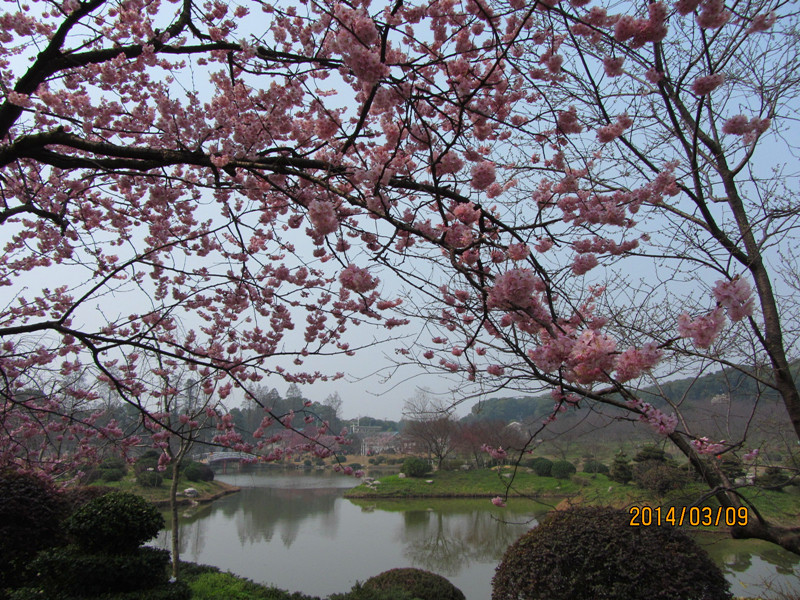 Ƭ20140309 057_.jpg
