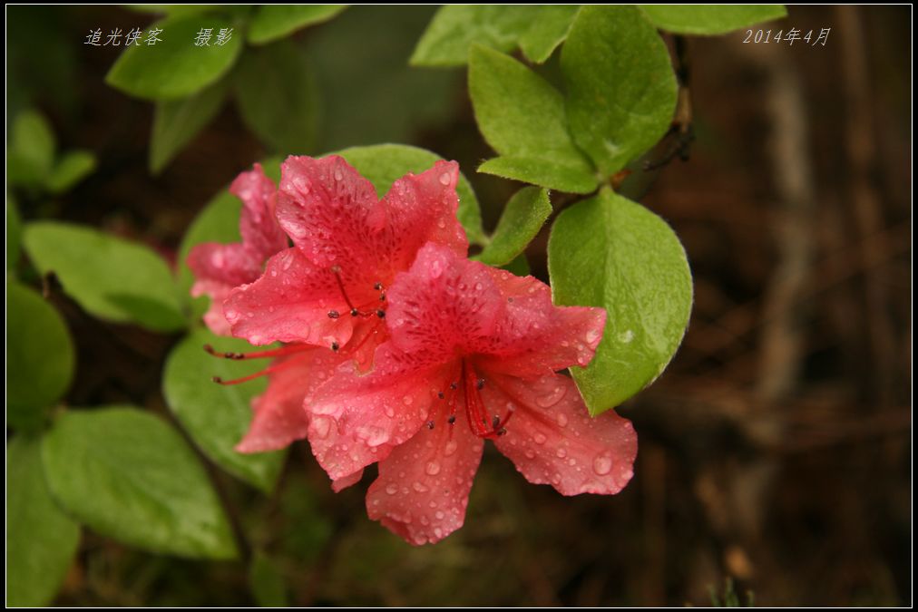 img_2323.jpg