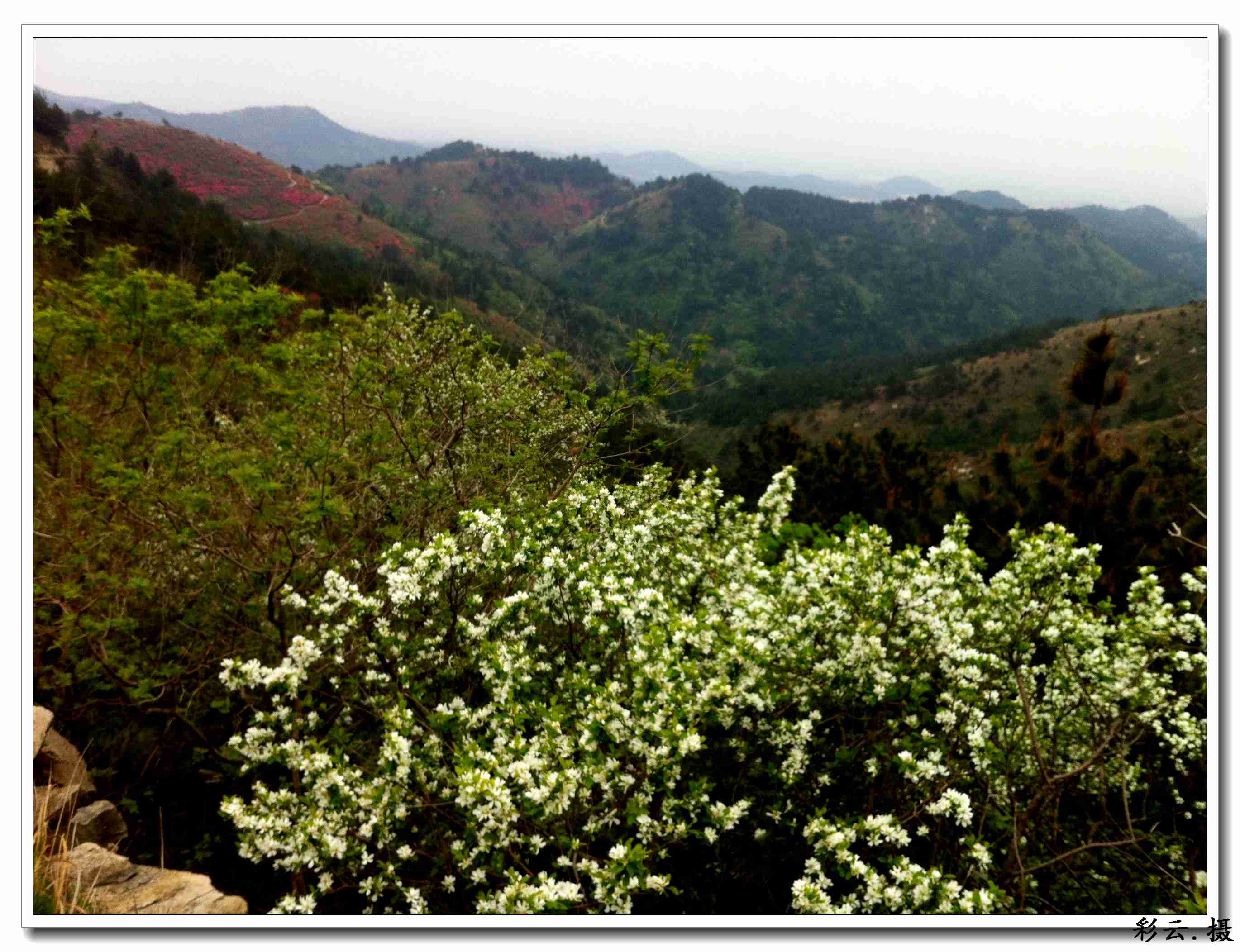 qqͼƬ20140406201049.jpg