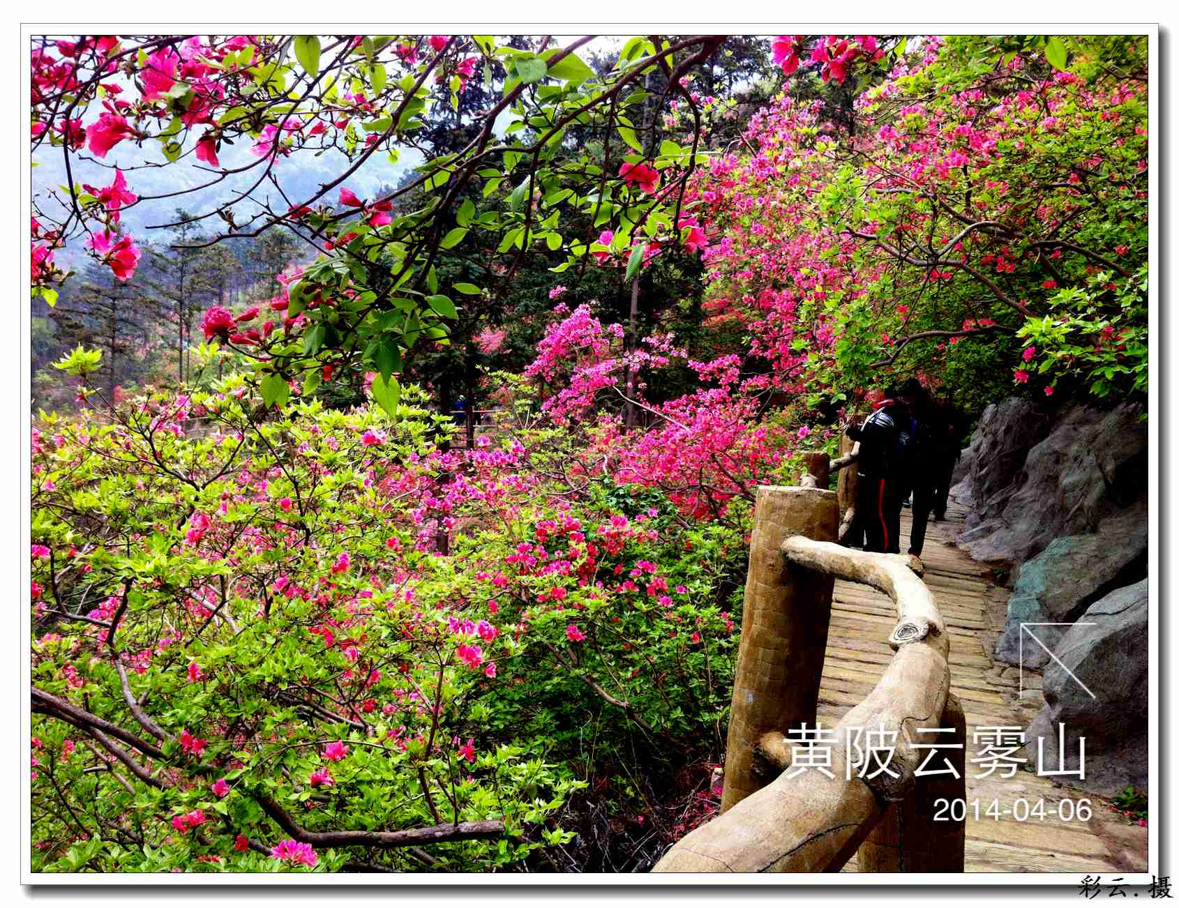 qqͼƬ20140406203523.jpg