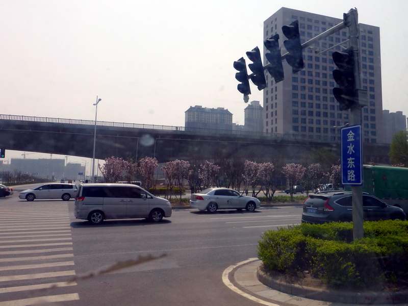 p1190856.jpg