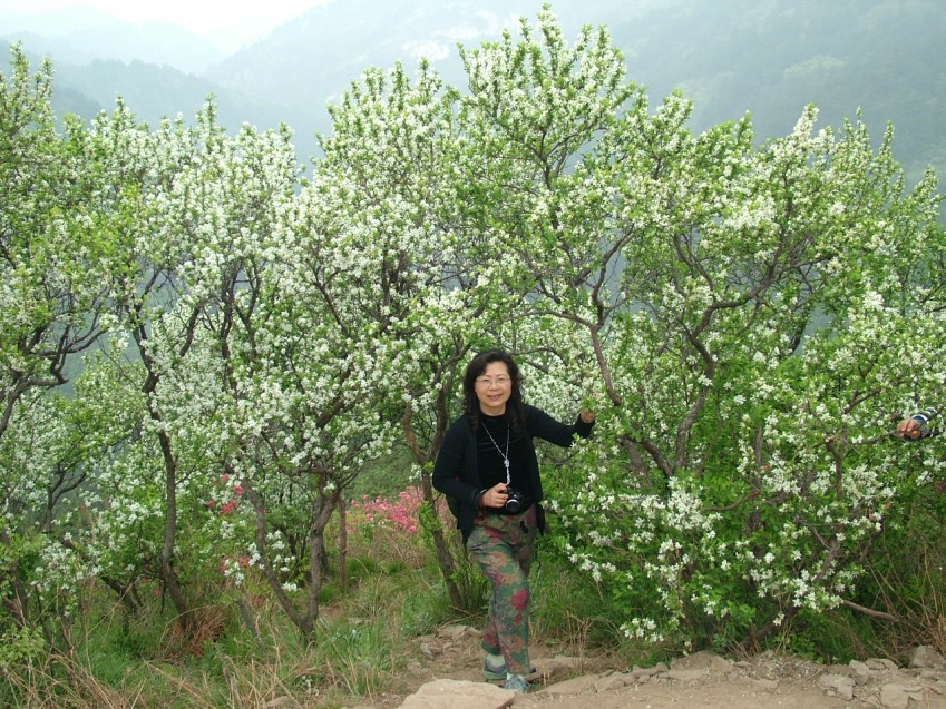 dscf2382_conew1.jpg