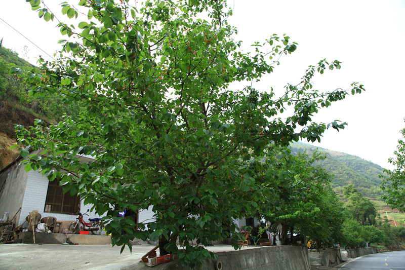 ӣ3.jpg