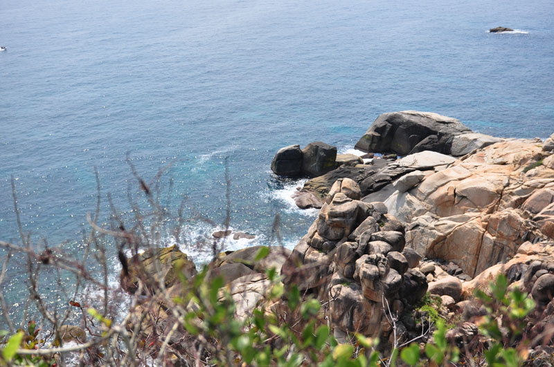 dsc_100054.jpg