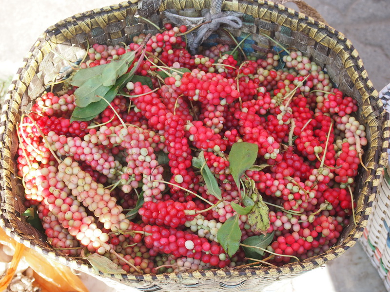 p9154063.jpg