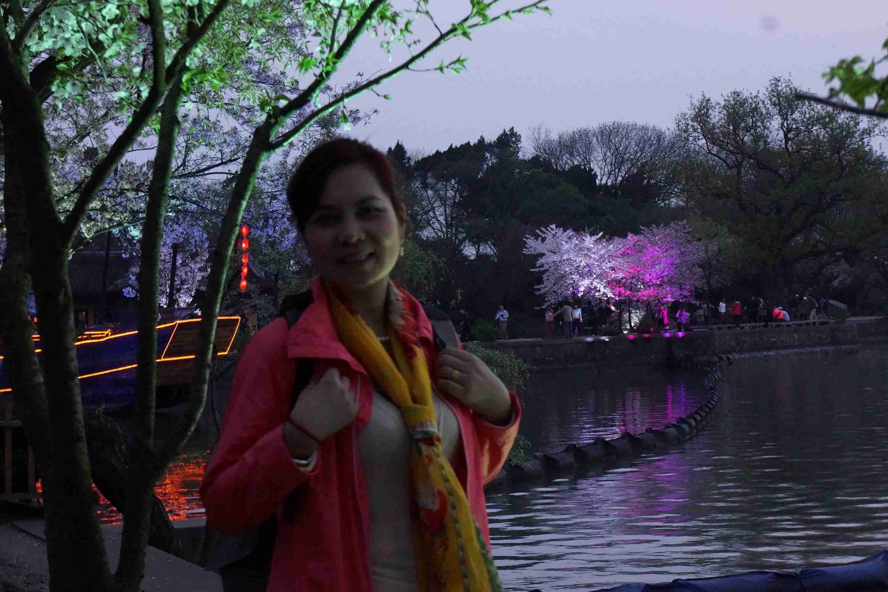 dsc03174.jpg