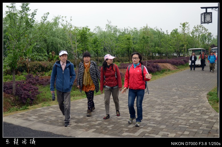 dsc_5339_conew1.jpg