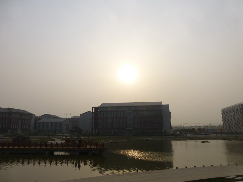 p1190933.jpg