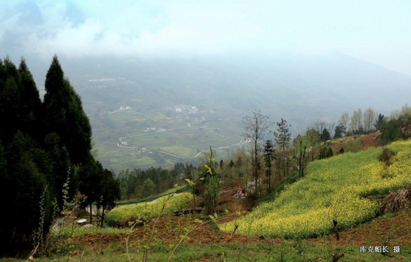12-img_0774.jpg