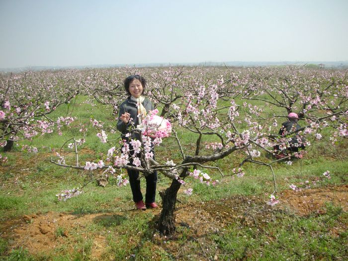 dscn5267.jpg