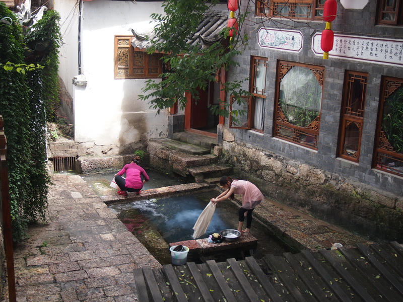 p9174155.jpg
