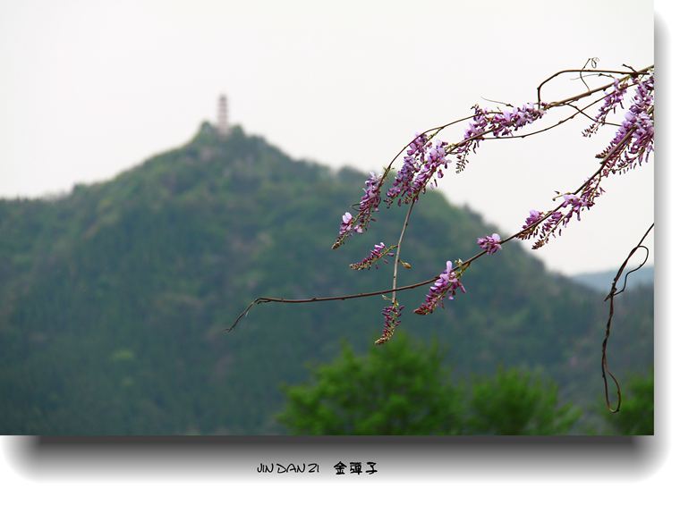 img_8286.jpg