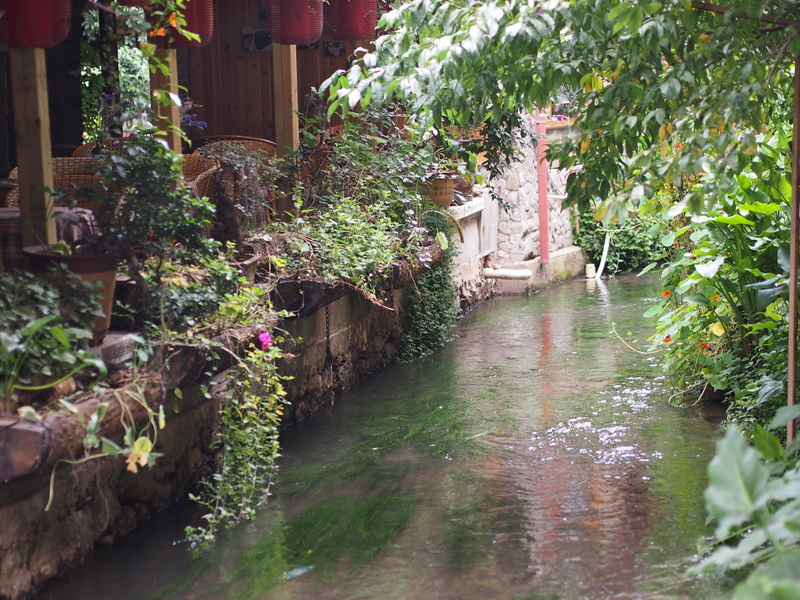 p9174174.jpg