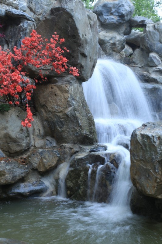 conew_img_2240.jpg