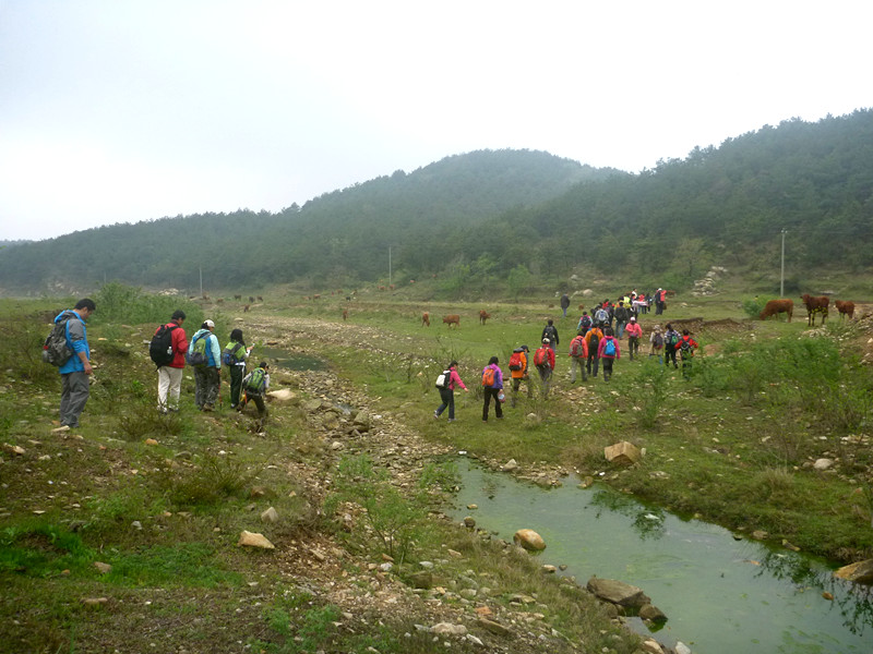 p1190253_.jpg