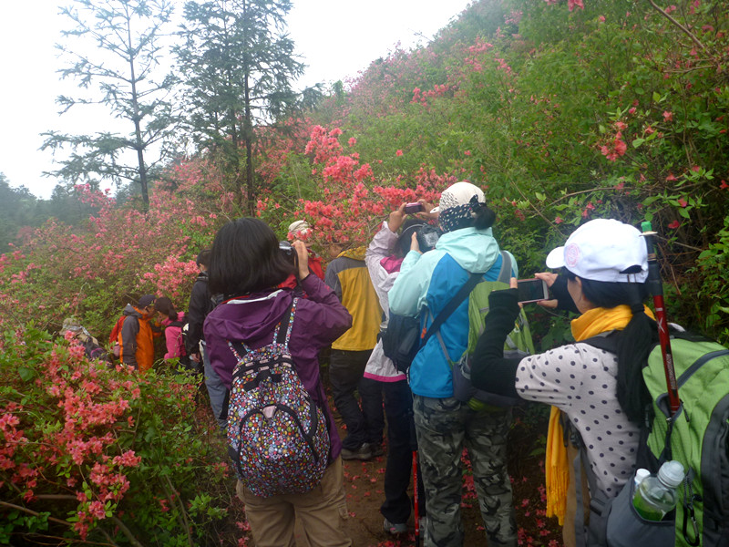 p1190280_.jpg