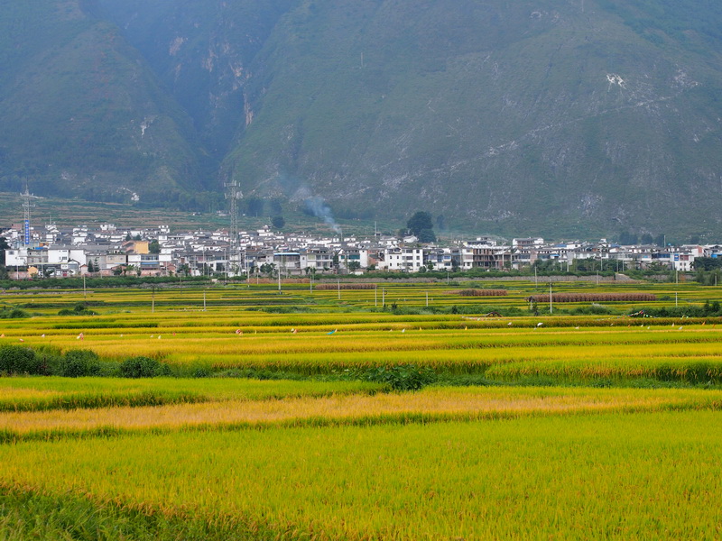 p9194386.jpg