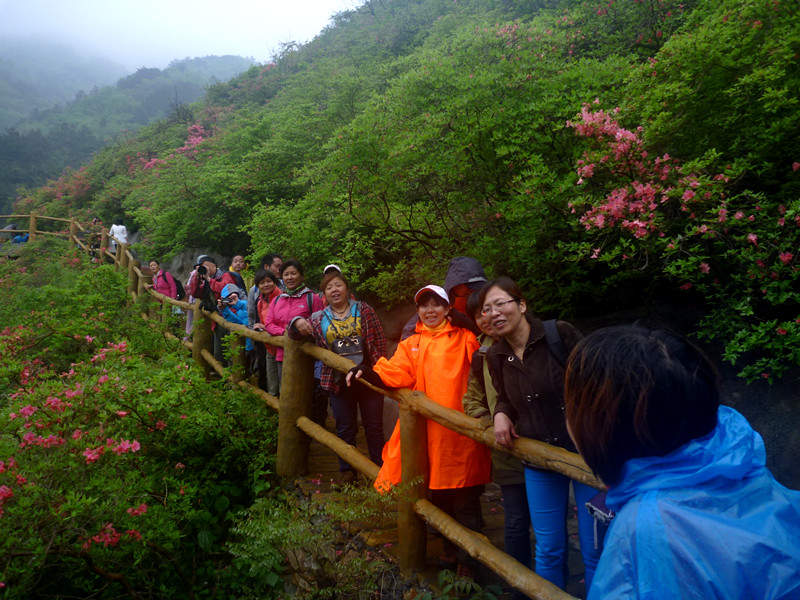 p1190300_.jpg