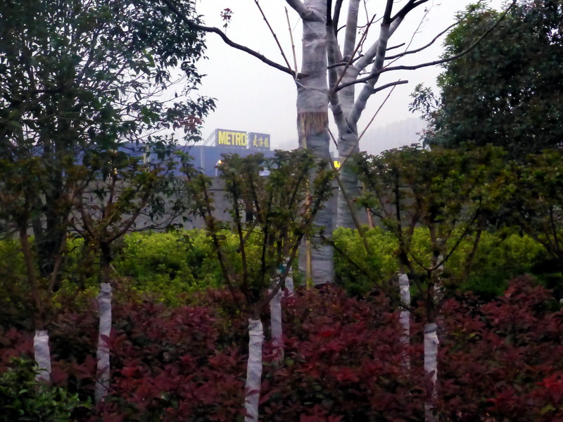 p1200438.jpg