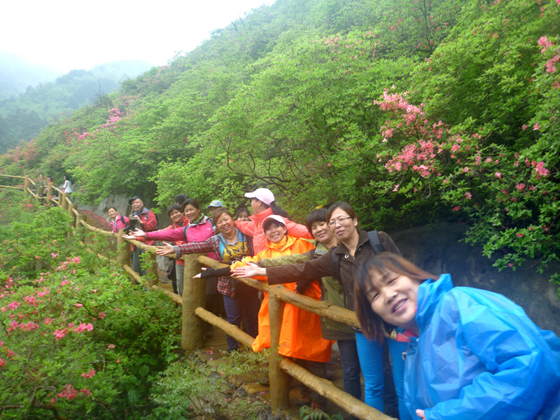 p1190301_.jpg