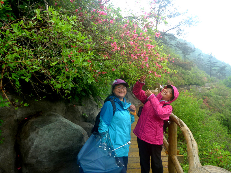 p1190314_.jpg