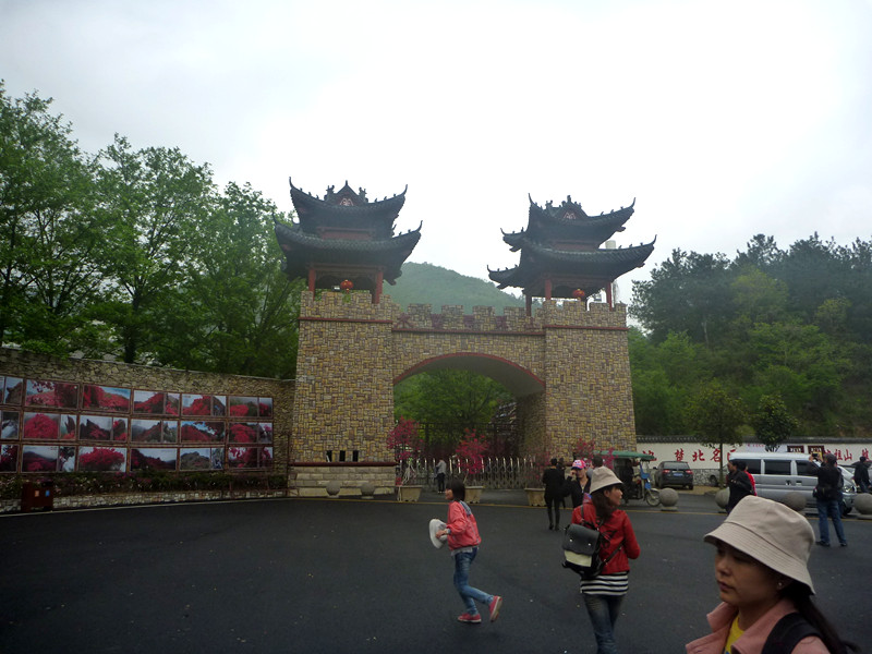 p1190324_.jpg