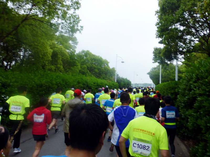 p1200569.jpg