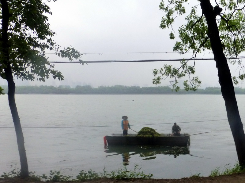 p1200590.jpg
