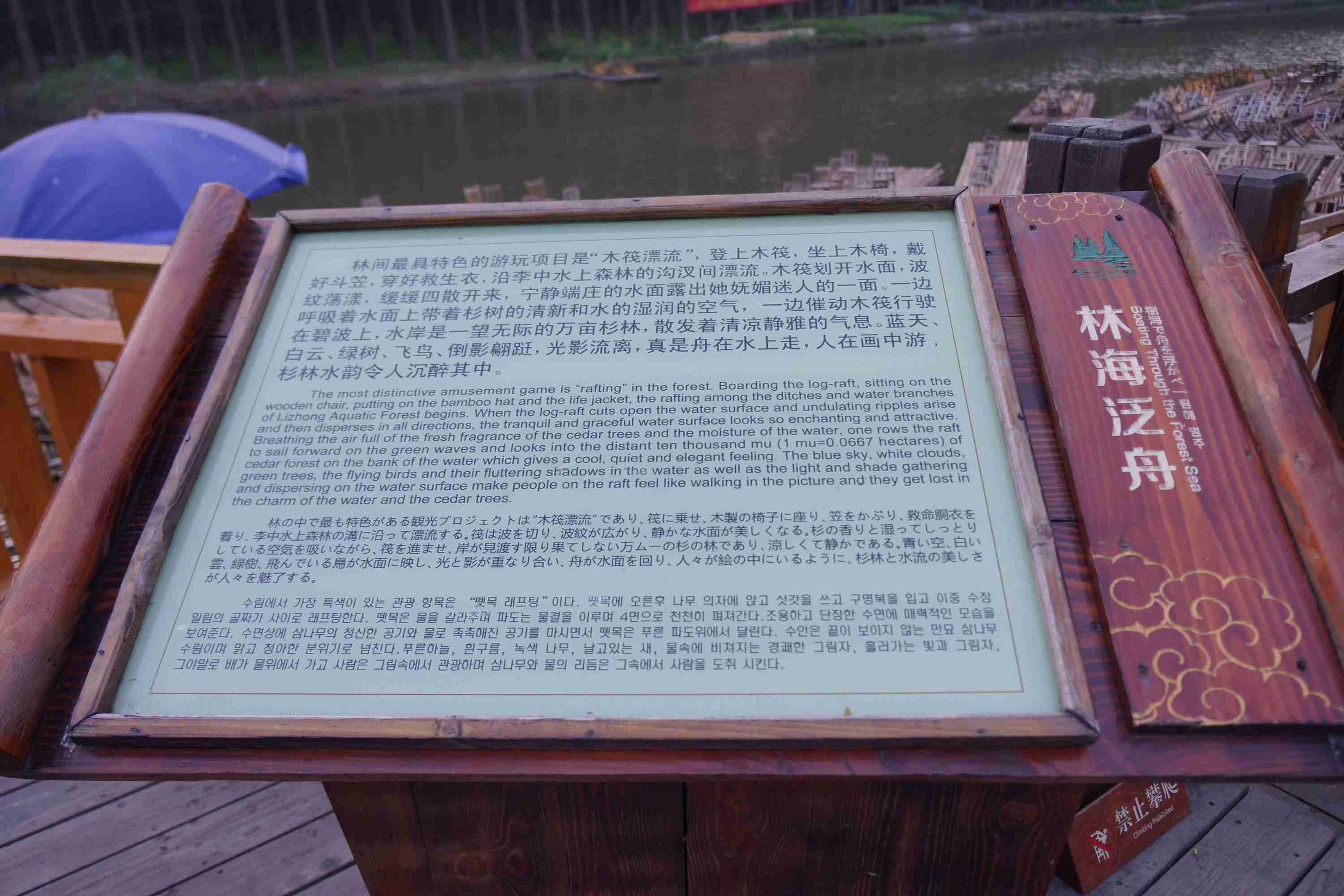 dsc03383.jpg