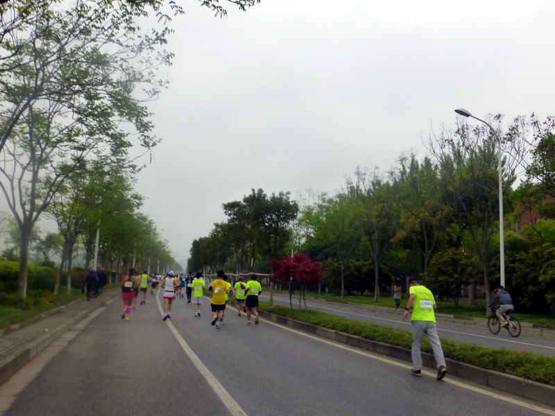p1200608.jpg