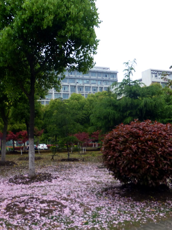 p1200621.jpg