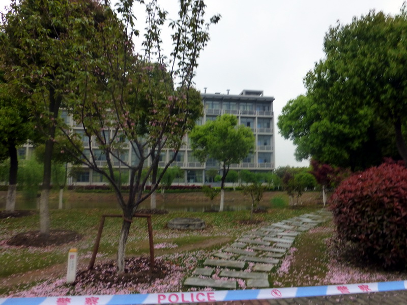 p1200622.jpg