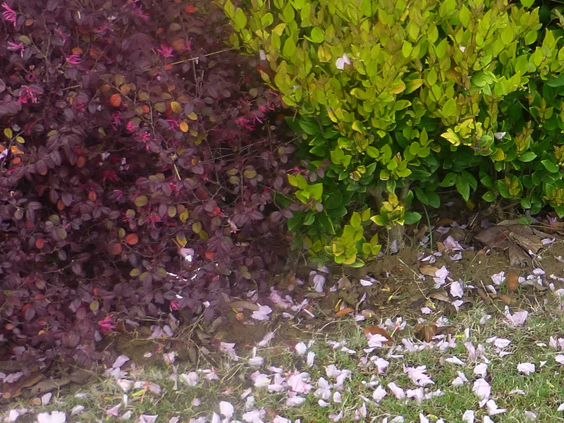 p1200638.jpg