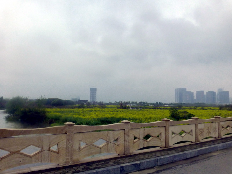 p1200652.jpg