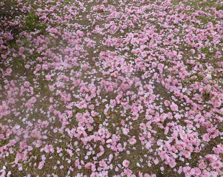 p1200664.jpg