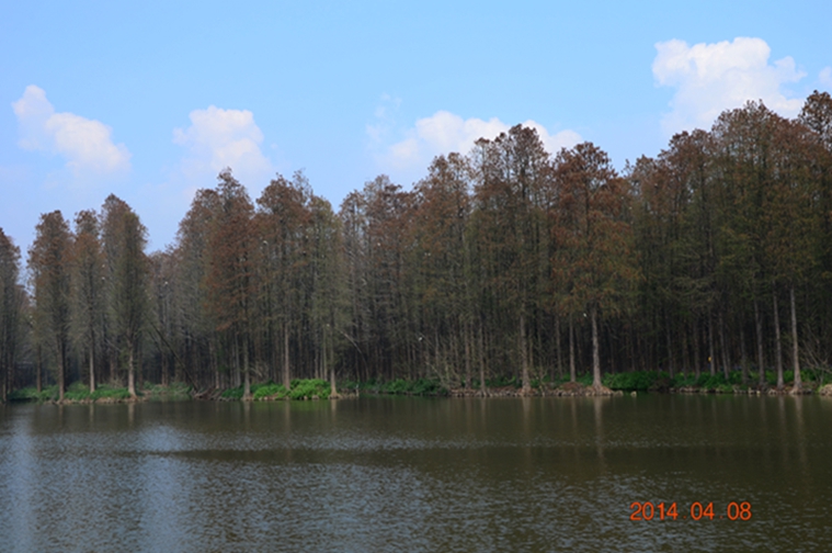 dsc_5631.jpg