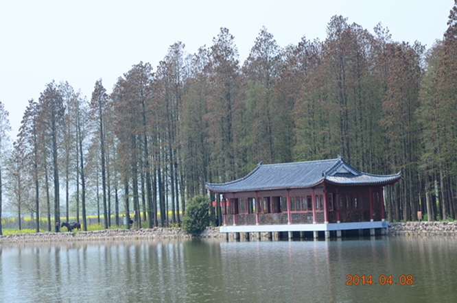 dsc_5666.jpg