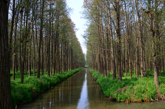 dsc_5722.jpg