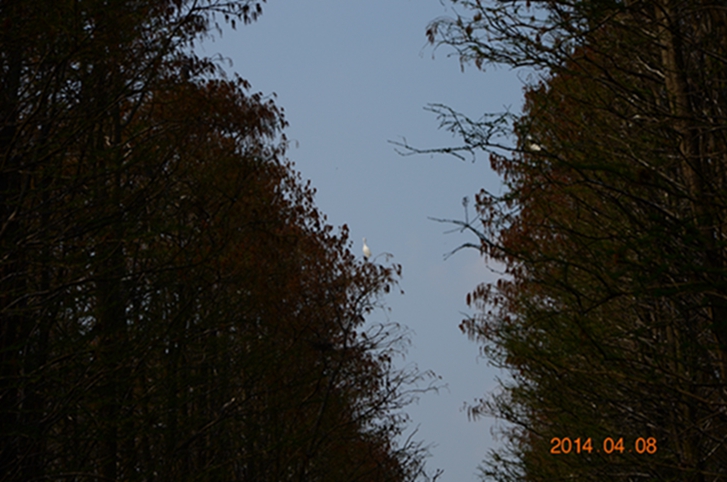 dsc_5751.jpg