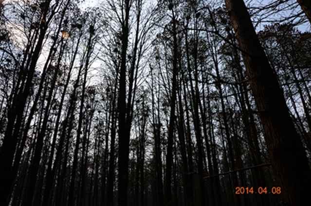 dsc_5773.jpg