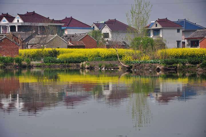 dsc_0010.jpg