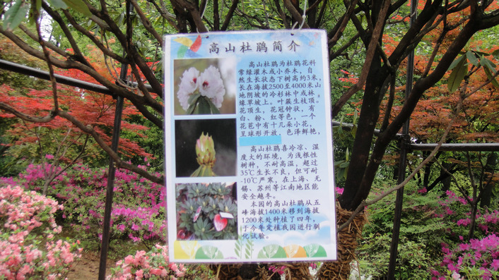 dsc04089.jpg