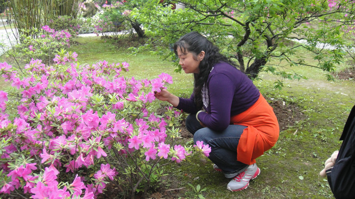 dsc04100.jpg