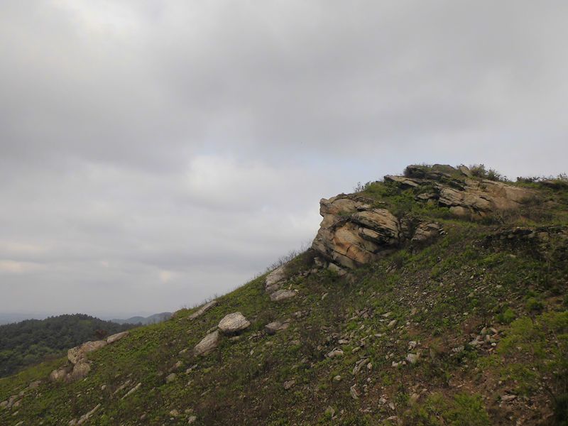 dsci0309_.jpg