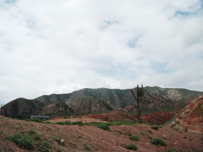 dscf0523.jpg