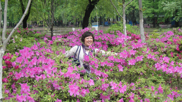 dsc04125.jpg