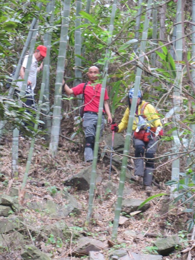 qqͼƬ20140402095441.jpg
