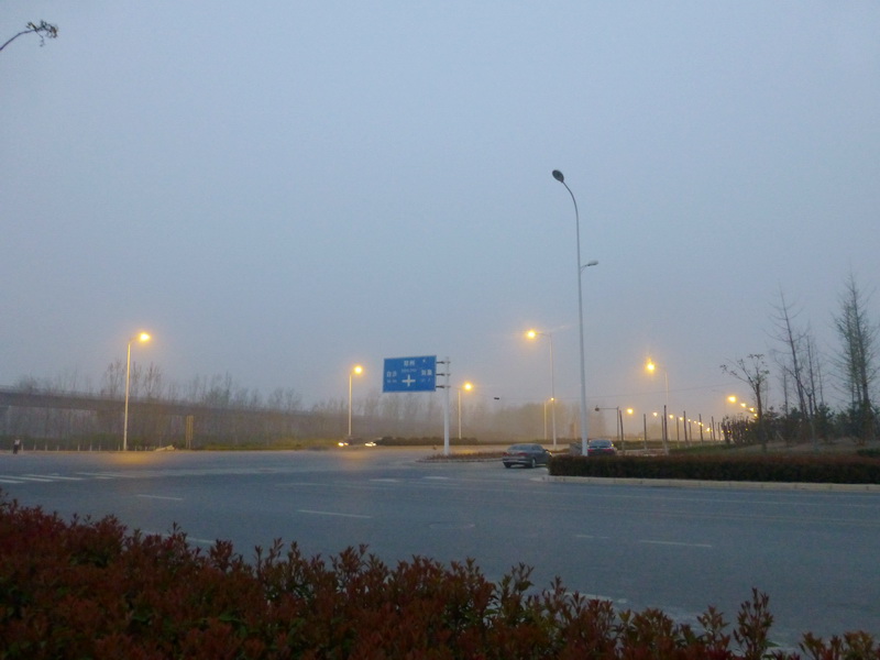 p1190958.jpg