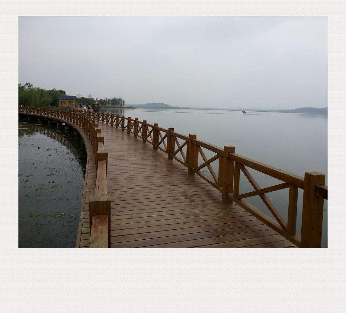 20140420_122224.jpg