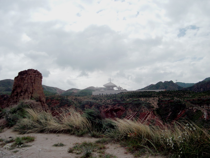 dscf0553.jpg